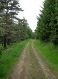 Dans le bois Grand